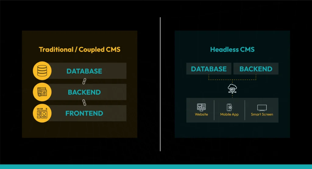Types of CMS Explained